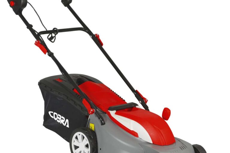 COGTRM38