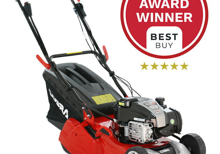 Cobra RM433SPBI 17" B&S Self Propelled Rear Roller Lawnmower