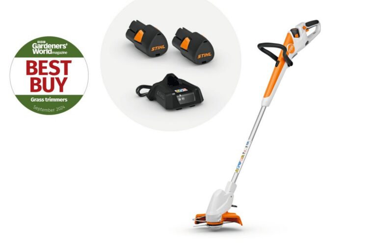STIHL FSA 30 Brushcutter Kit (2 x AS Batteries)